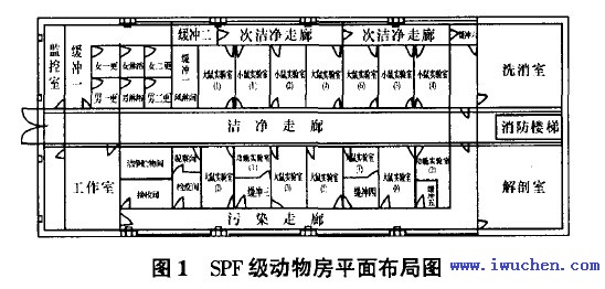 实验动物房平面布置图